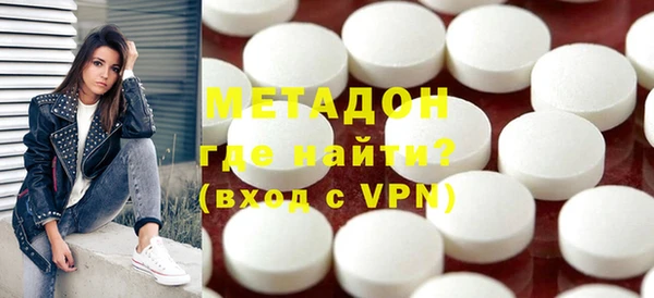 шишки Няндома