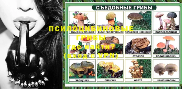шишки Няндома