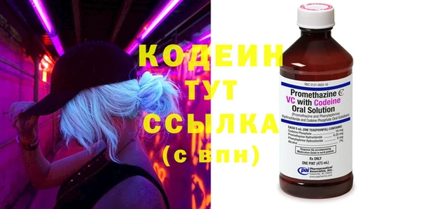 шишки Няндома