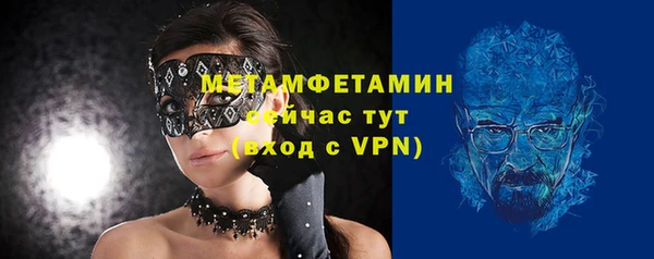 шишки Няндома