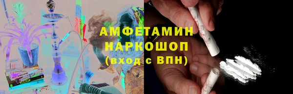 шишки Няндома