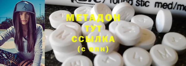 шишки Няндома