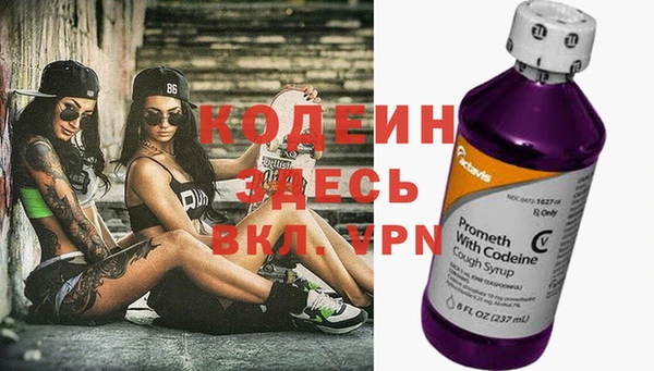 шишки Няндома