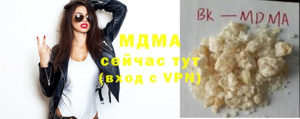 шишки Няндома