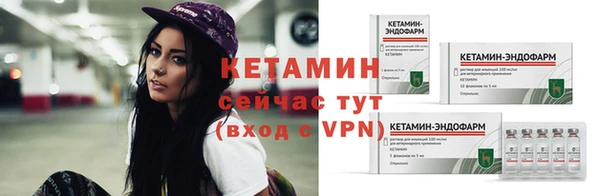 шишки Няндома
