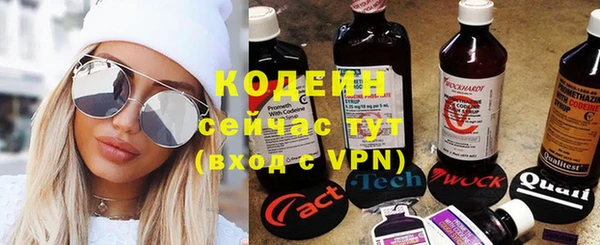 шишки Няндома