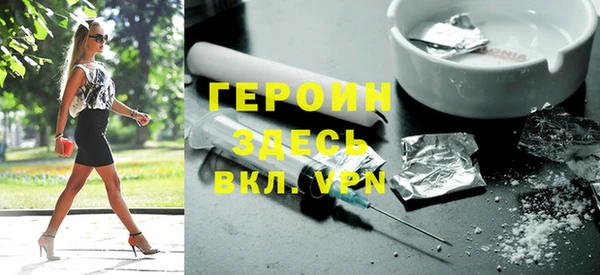шишки Няндома