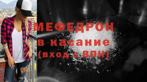 шишки Няндома