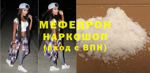 шишки Няндома