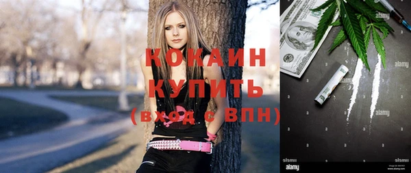 шишки Няндома