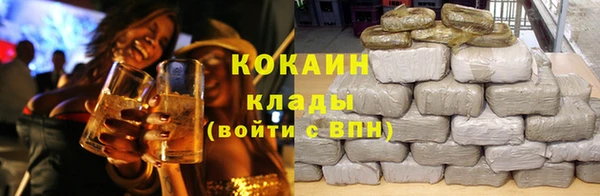 шишки Няндома