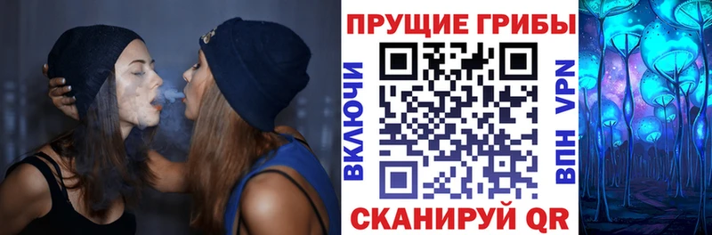 Галлюциногенные грибы MAGIC MUSHROOMS  Купить закладки  Светлогорск 